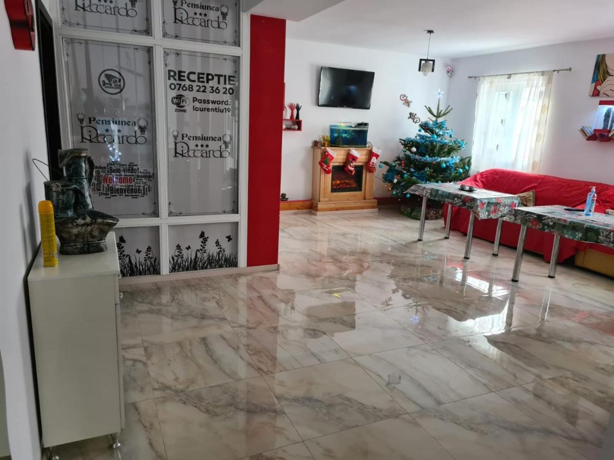 Pensiunea Riccardo Braşov Exterior foto